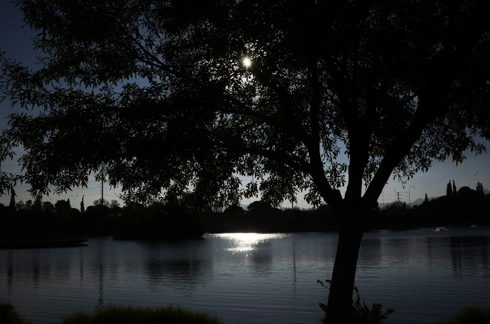 Lago artificial de la Ciudad Deportiva Francisco I. Madero en Saltillo